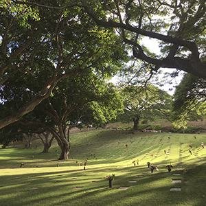 Cemitério Parque I Limeira